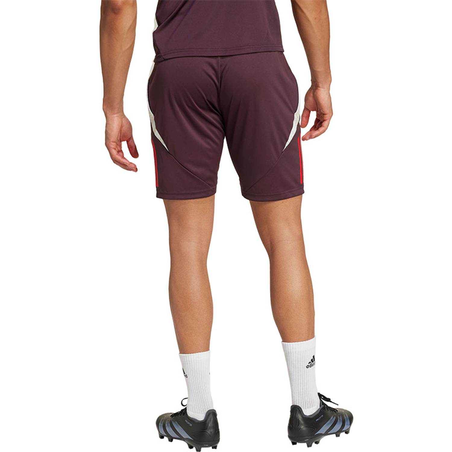 adidas Bayern München Training Short 2024/2025