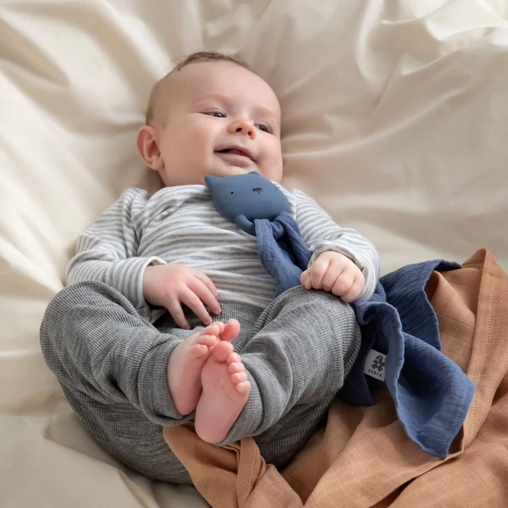 Sebra - Beissring mit Kuscheltuch Zappy, pink
