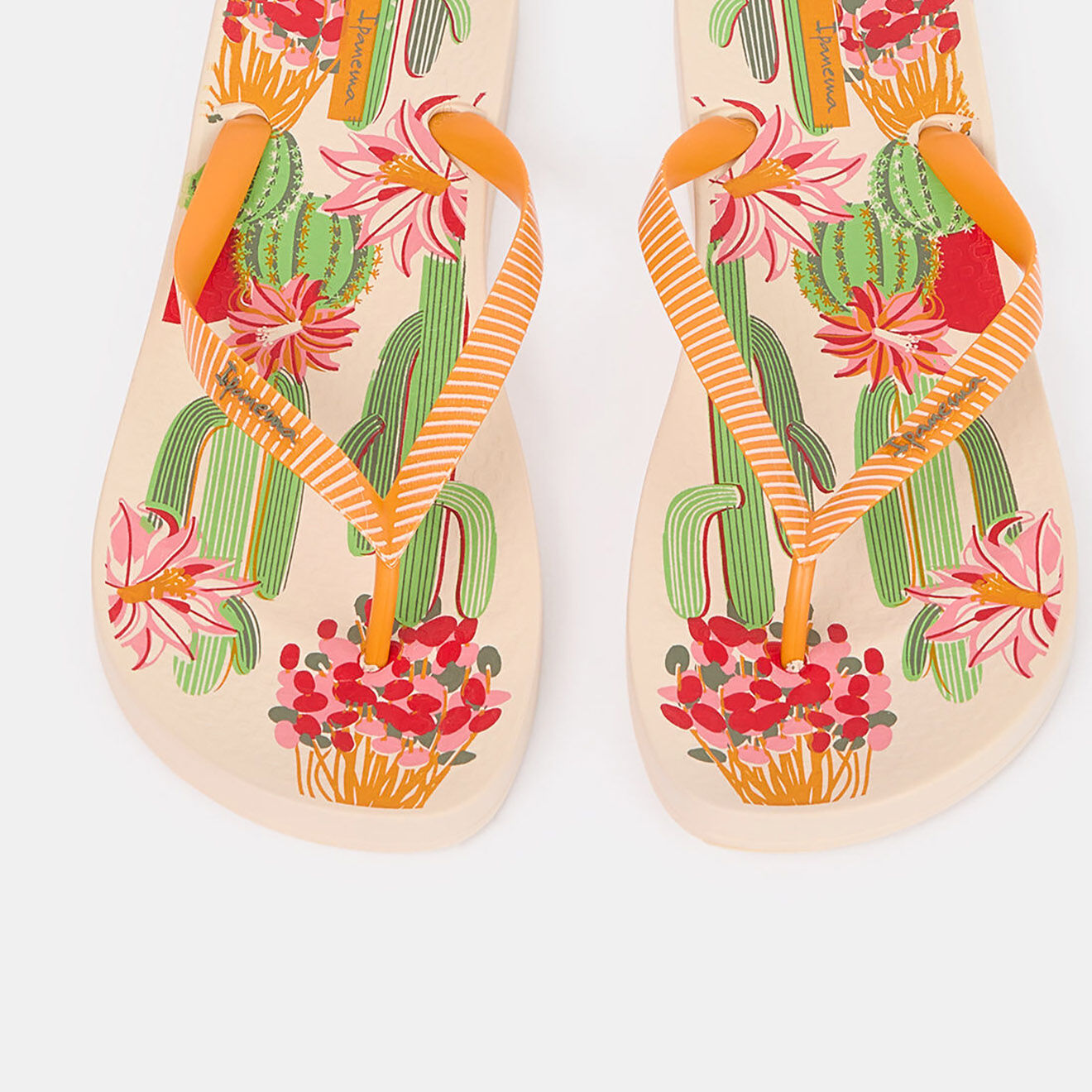 Ipanema Tongs Anat Cactus multicolore/orange