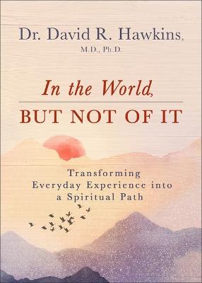 In the World, But Not of It: Transforming Everyday Experience into a Spiritual Path (Paperback)