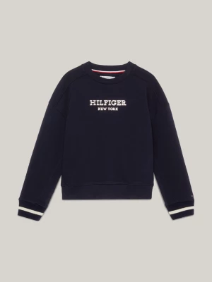 Moletom Hilfiger Monotype Metallic Logo Relaxed