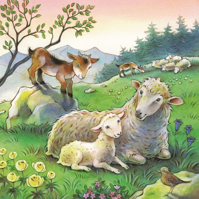 Puzzle-Box - Kuschelzeit - 3x 49 Teile