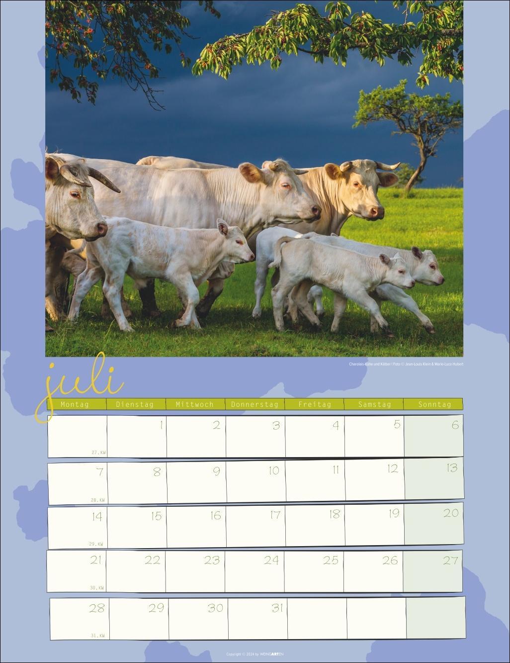 Kuh Kalender 2025