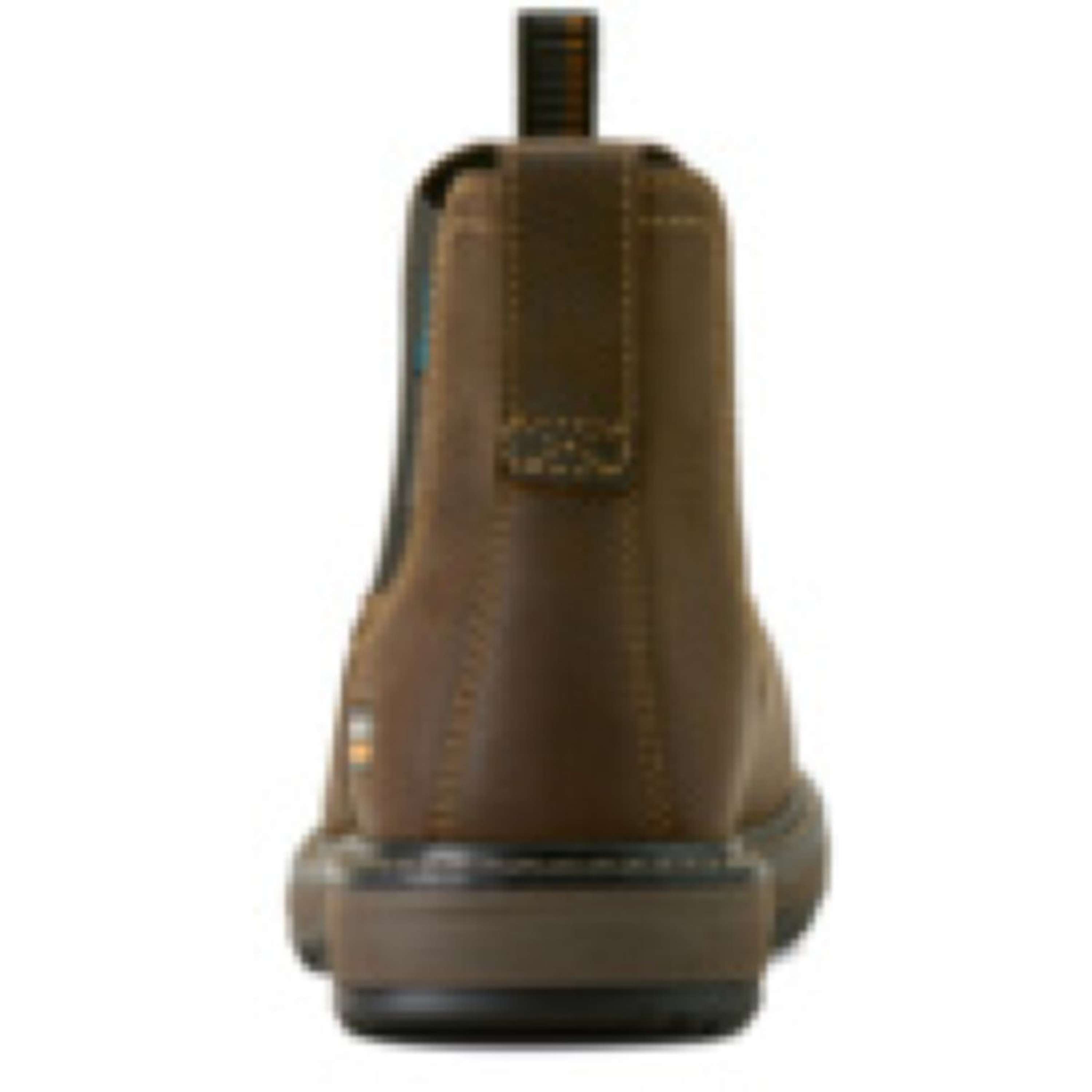 Ariat Jodhpurs Riverter Chelsea H20 Dames Donkerbruin