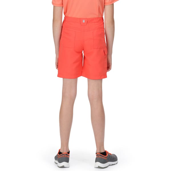 Short randonnée REGATTA SORCER SHORTS II NEON PEACH
