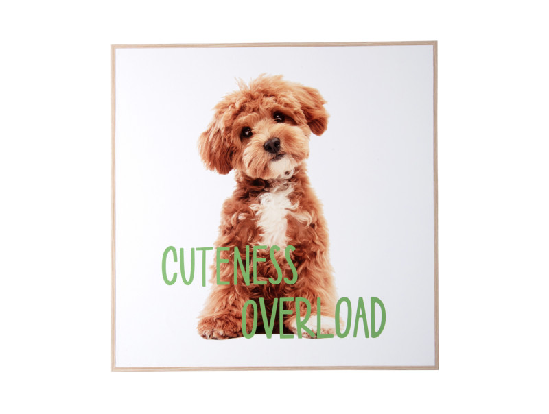 Wall Art Puppy Cuteness Overload
