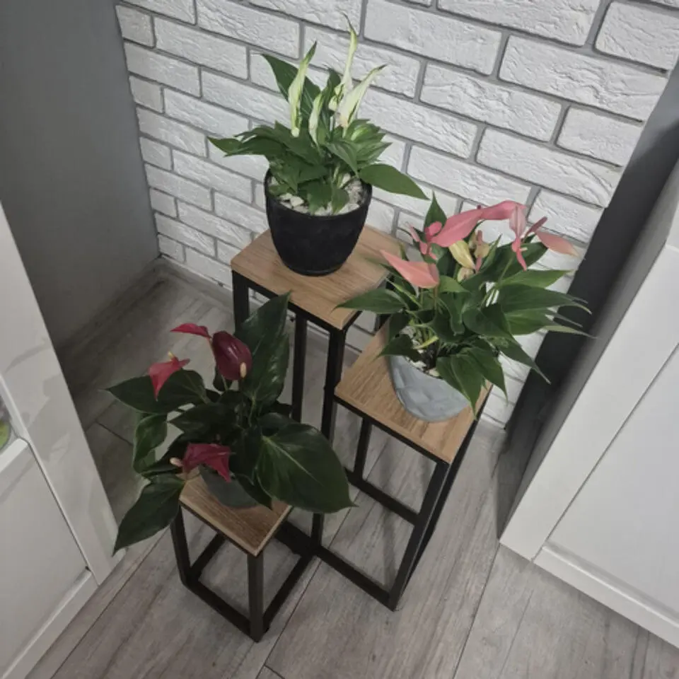Ruhhy Plantenstandaard - 3 laags- metaal - industriele stijl