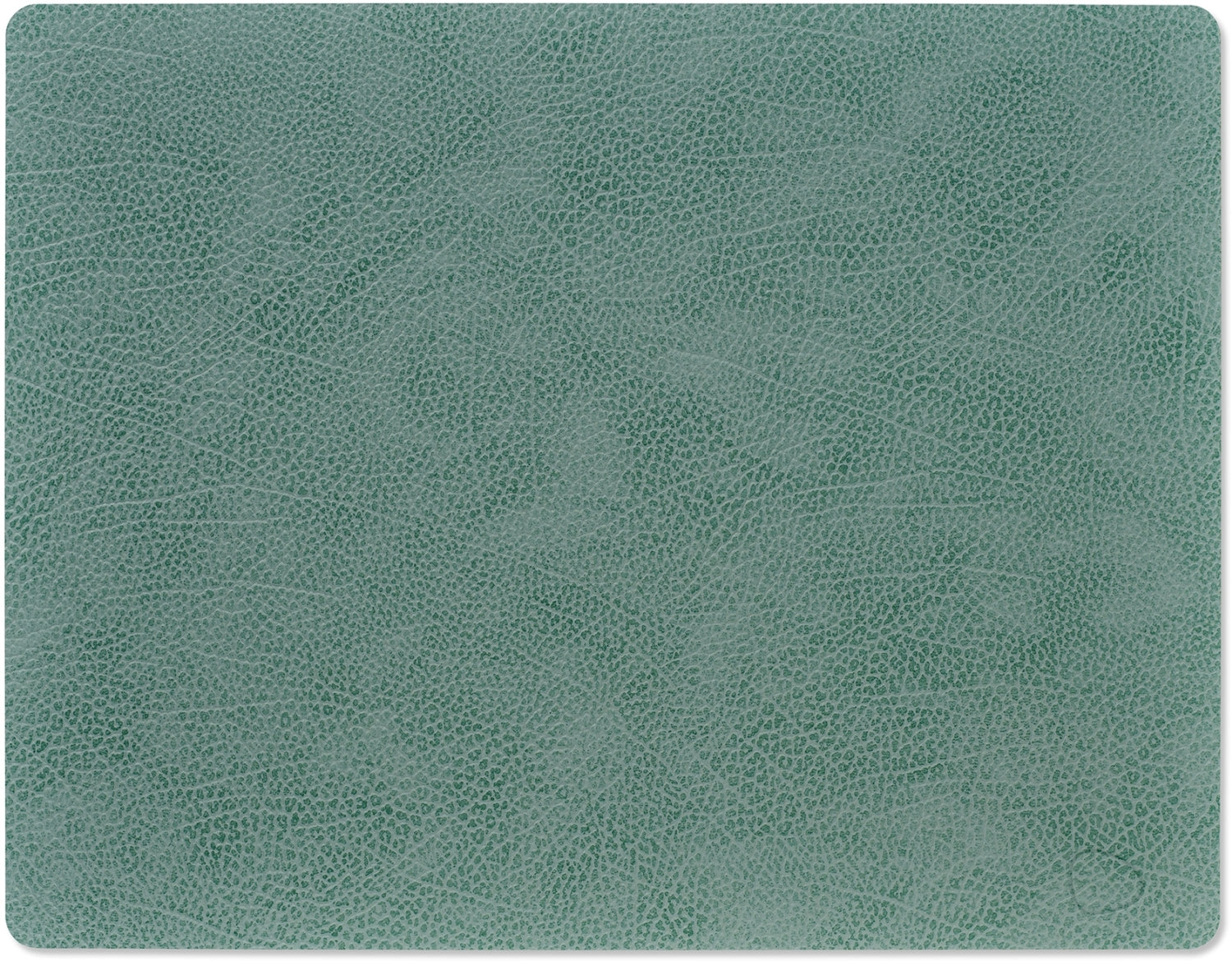 LIND DNA Placemats Hippo - Leer - Pastel Green - 45 x 35 cm - 2 Stuks
