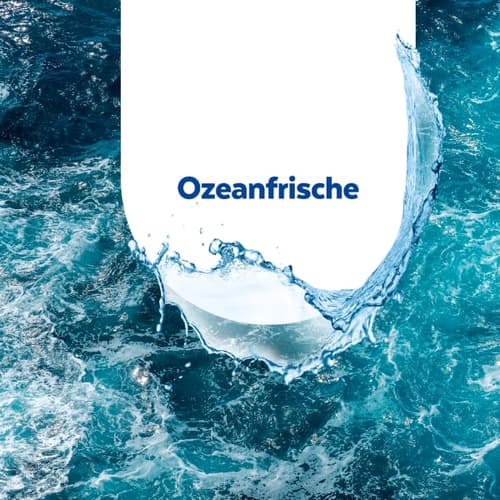 Sagrotan Badreiniger Ozeanfrische Biozidprodukt