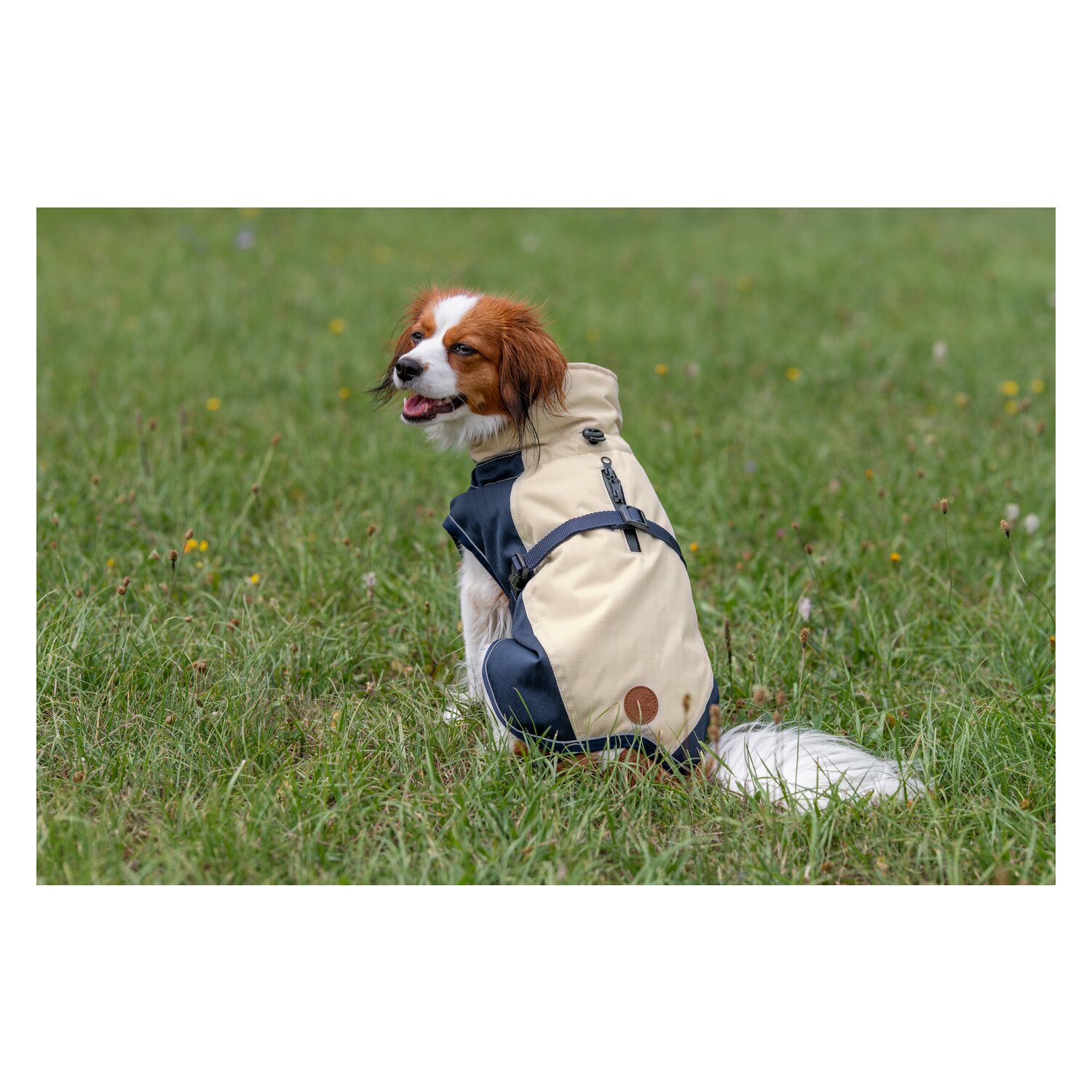 pawberry Hunde-Wintermantel York - blue/cream