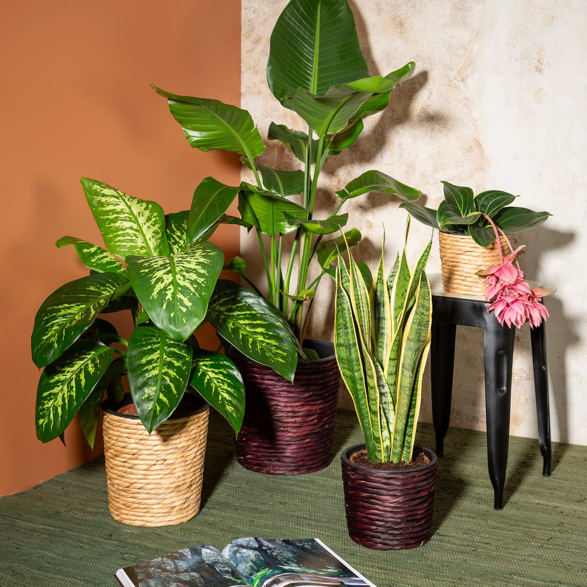 Scheurich Waterhyacint 30, plantenbak/mandpot van waterhyacint, kleur: naturel, 30 cm diameter, 28 cm hoog, 23,9 l inhoud.