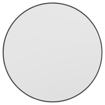 Haceka badkamerspiegel Deco mat zwart Ø 60 cm rond