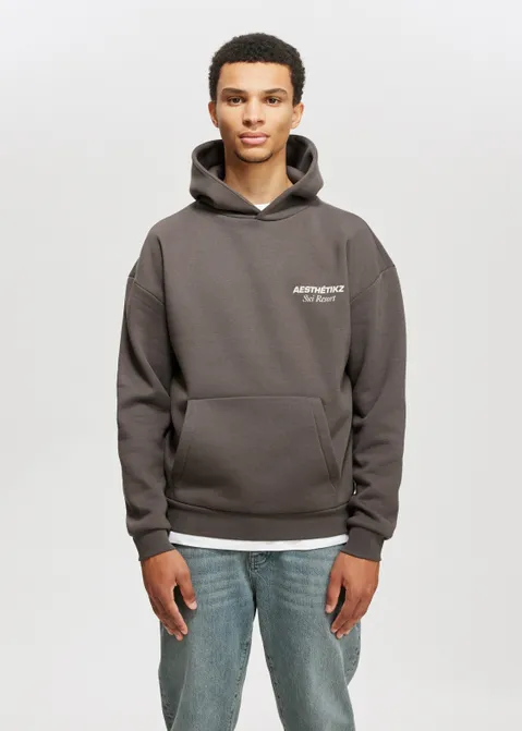 Hoodie met print ski resort bruin (BRN.CL)