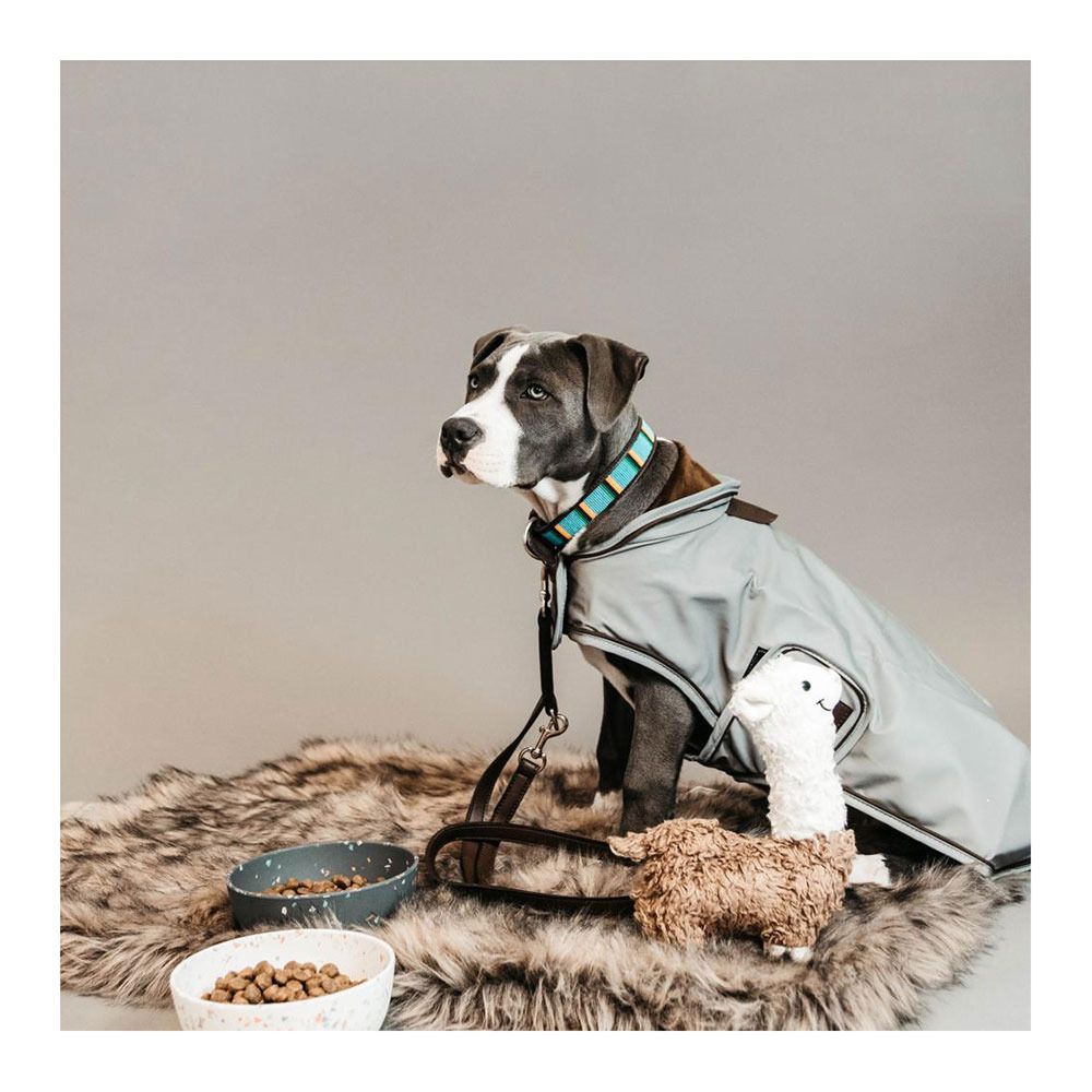 Kentucky PEARLS -  Collier pour chien bleu clair