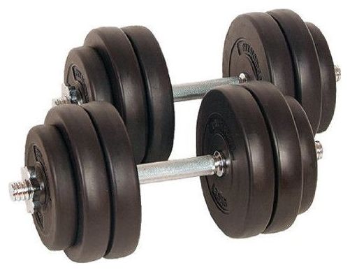 Lot de 2 haltères courts poids 30 kg (2 x 15 kg) avec disques set musculation fitness biceps 0701156