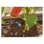 Dryppvanning for terrasseplanter