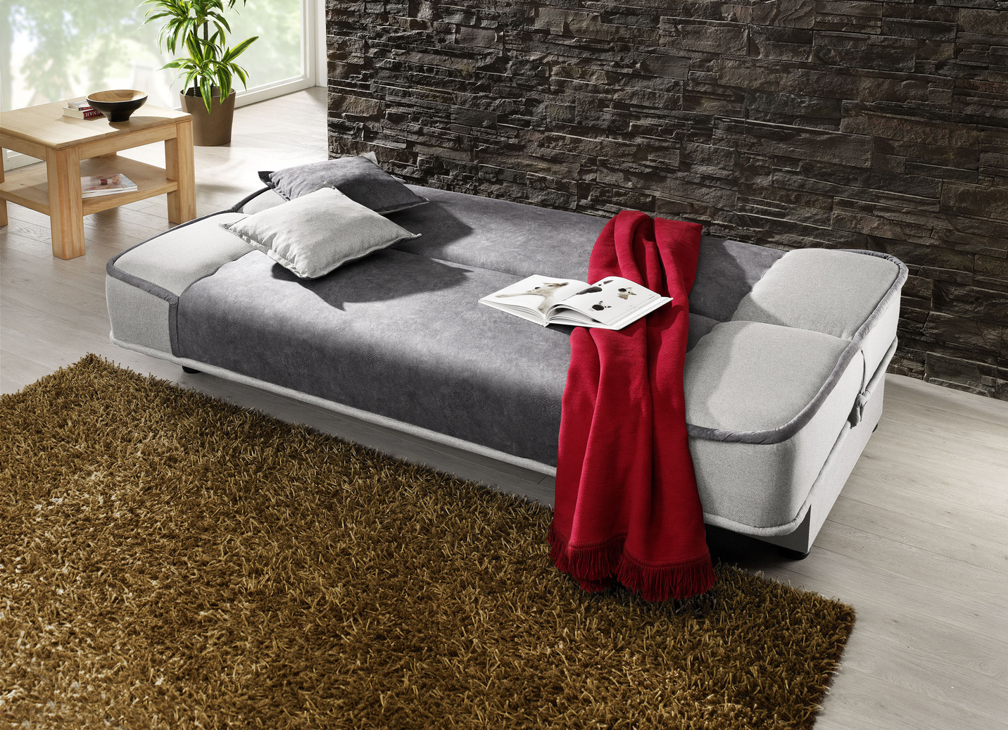 Schlafsofa mit Bettkasten