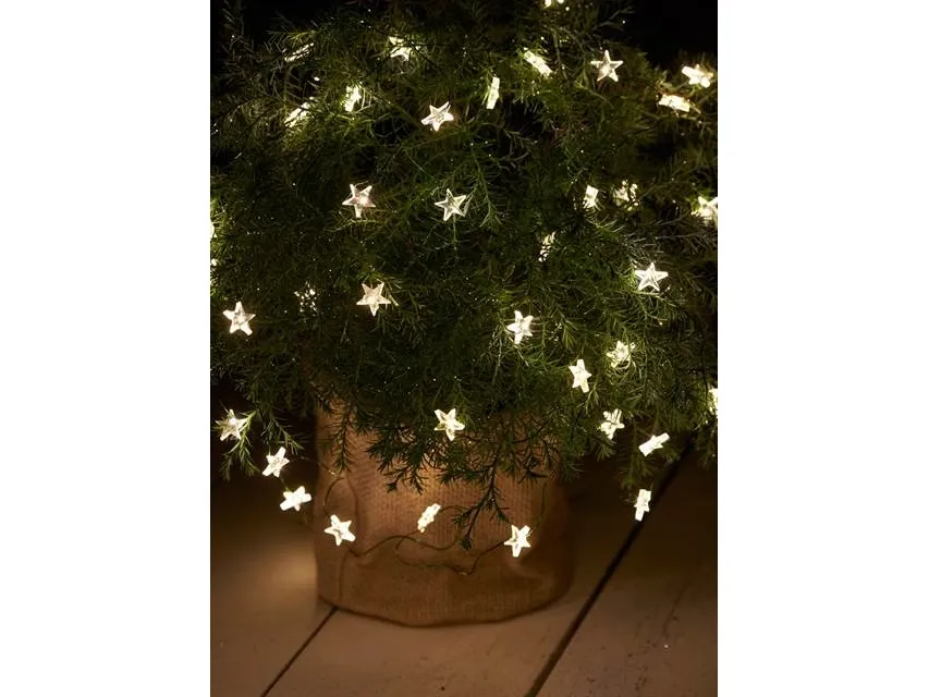 Sirius Trille Stjernelyskæde - 40 LED - Klar/Grøn