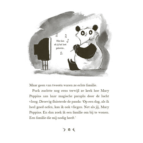 Uitgeverij condor een panda voor mijn verjaardag