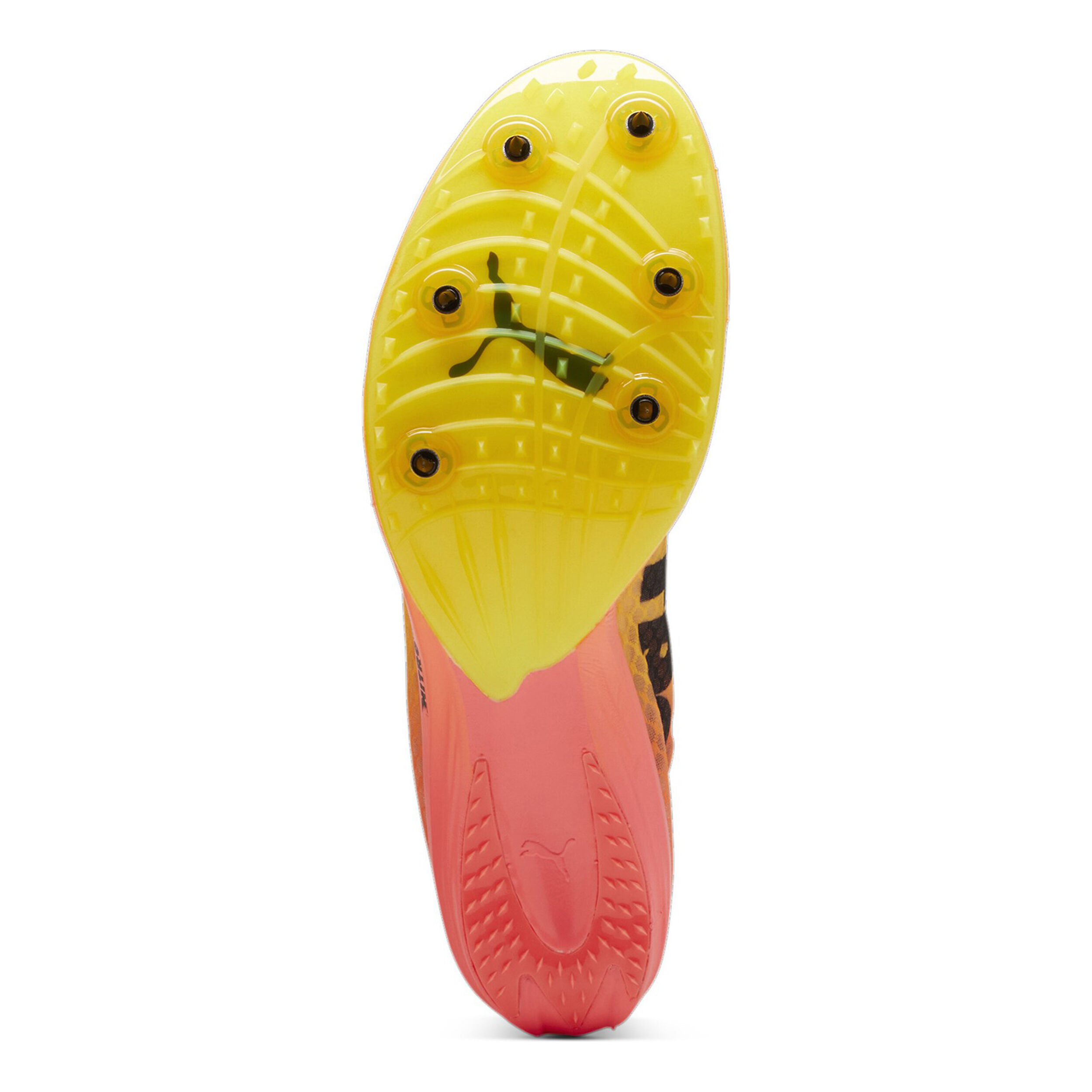 Puma EvoSPEED Distance Nitro Elite+ 4 Spikes - Orange , Noir