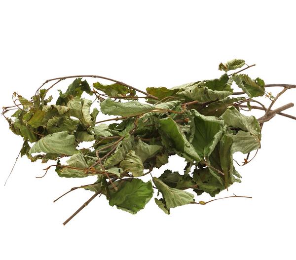 Dehner Best Nature Haselnuss, 25 g