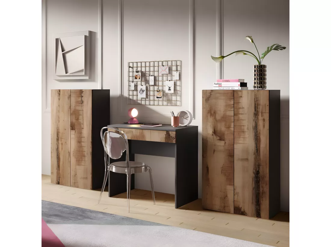 Armoire de bureau 2 portes 2 étagères Noir/Bois fumé - TORINO
