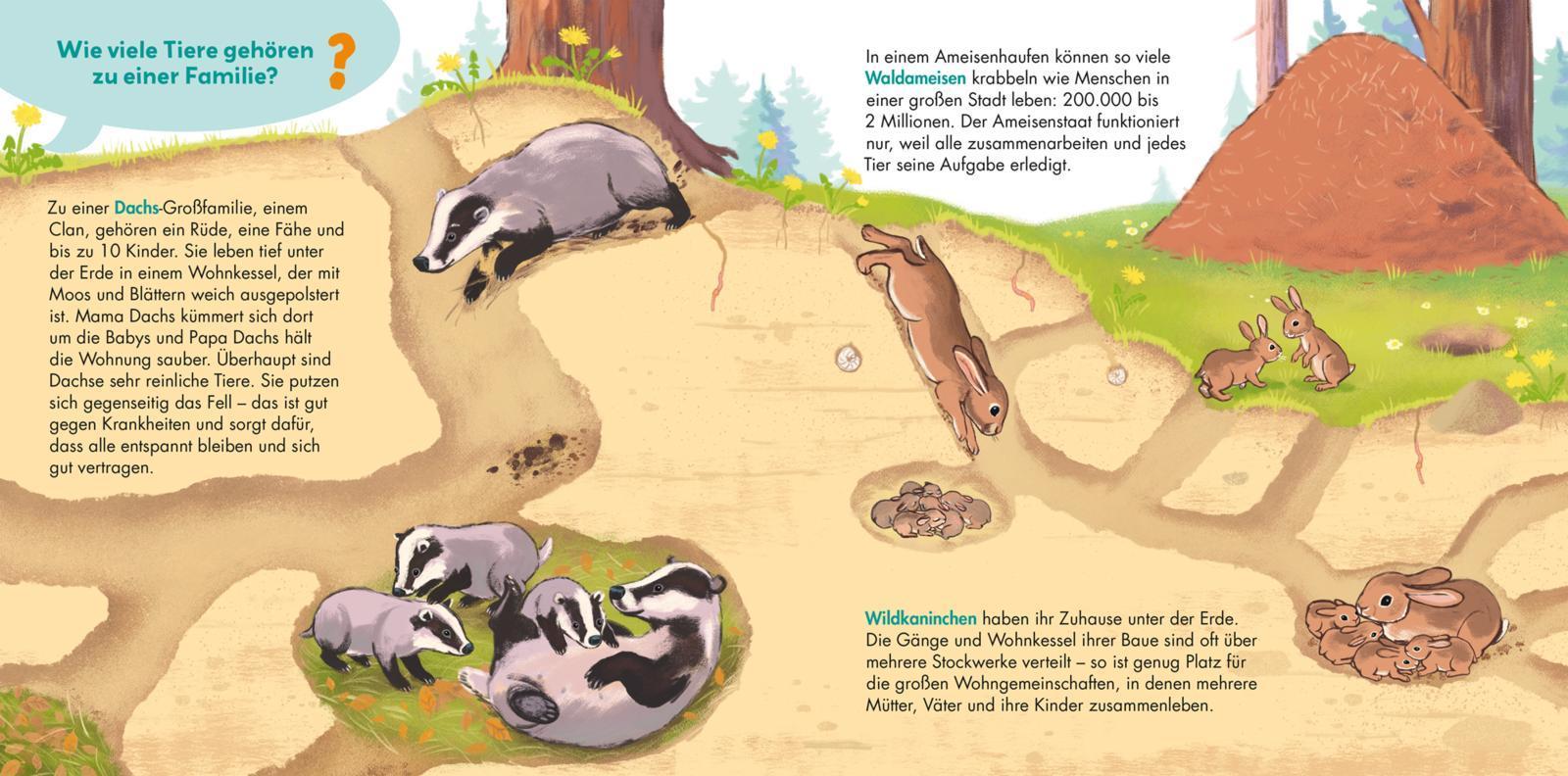 Frag doch mal ... die Maus / Frag doch mal ... die Maus: Tiere und ihre Familien