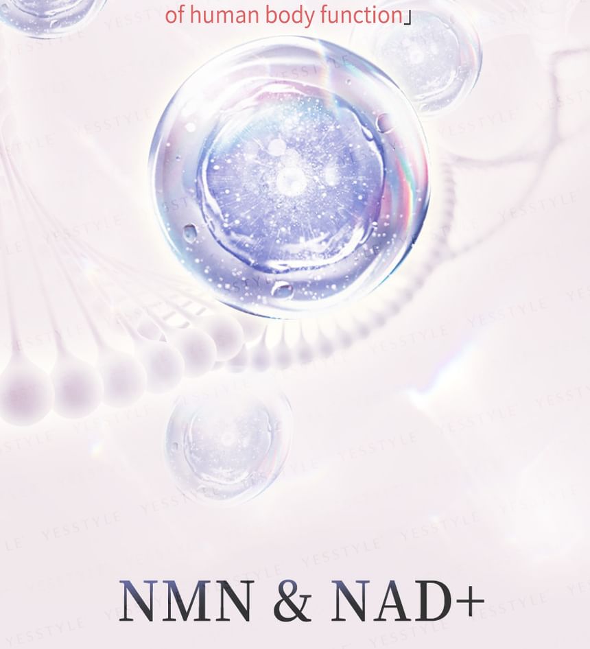 BHK's - NMN Tijdloze Veg Capsules