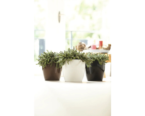 elho Brussels Diamond plantenbak, kunststof, Ø 14 cm, H 12 cm, wit