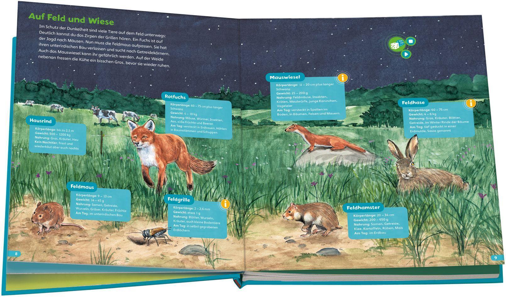 BOOKii Hören und Staunen - Tiere in der Nacht