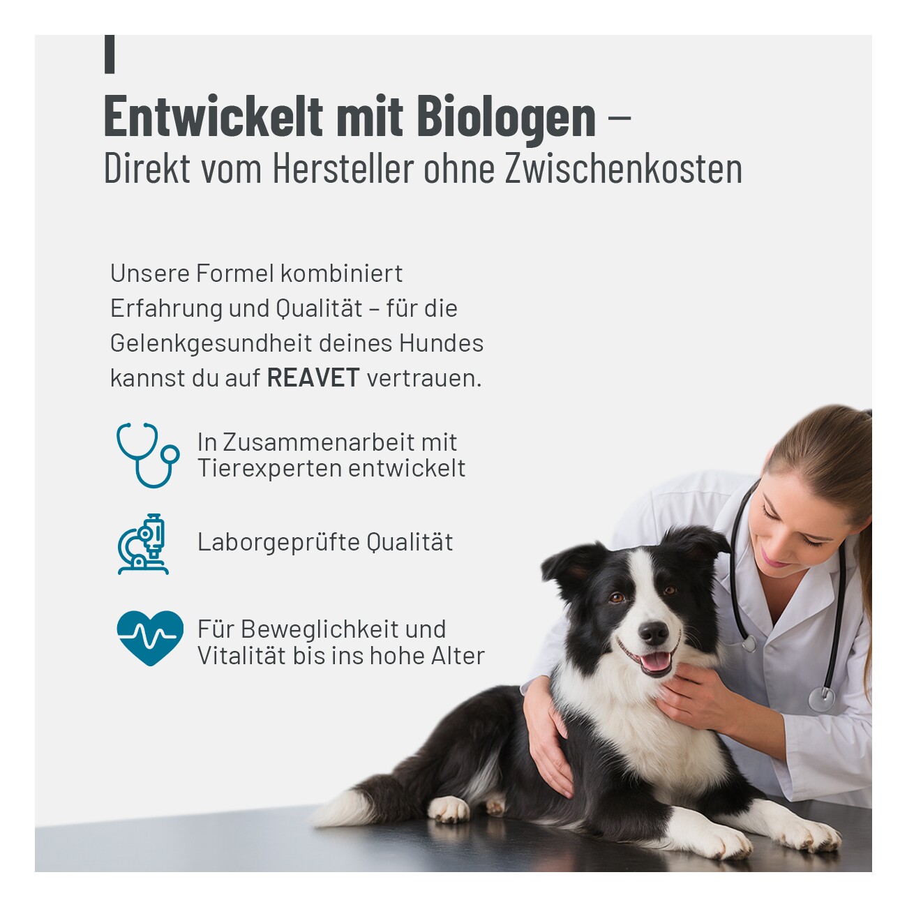 REAVET Gelenktabletten Forte 180Stk