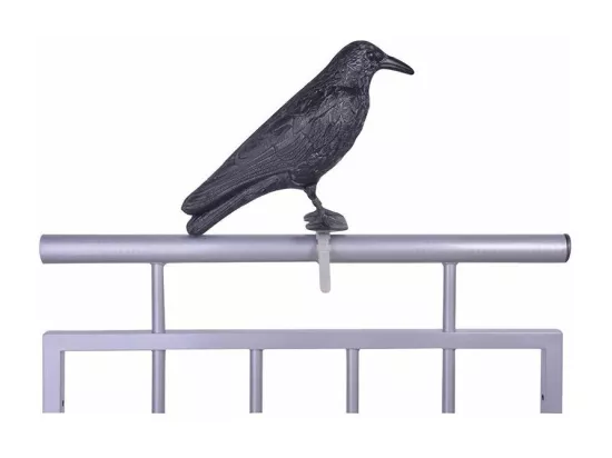 Epouvantail corbeau pour éloigner les pigeons