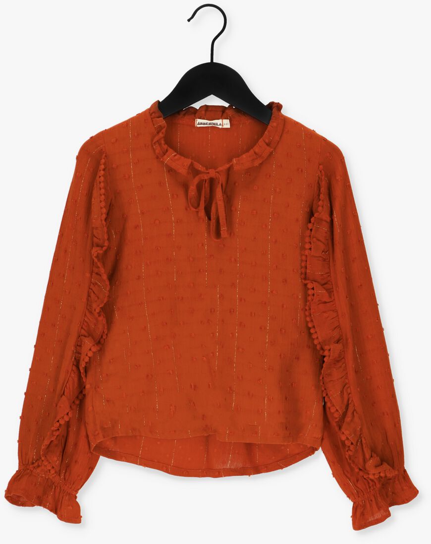 AMMEHOELA bruine ammehoela blouse am.kaja.05