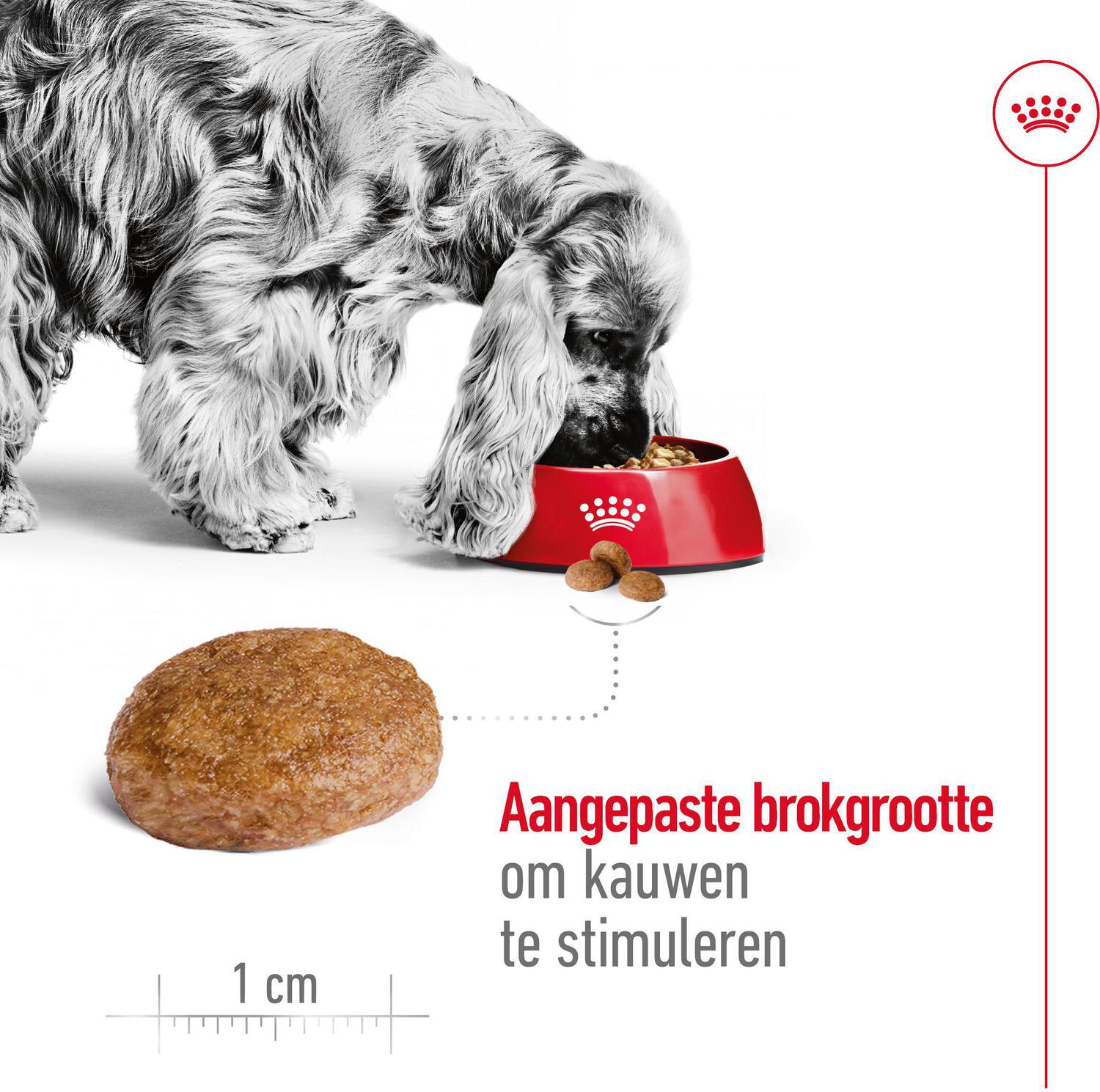Royal Canin hondenvoer Medium adult 7+ 15 kg