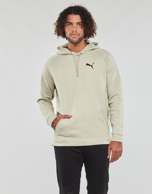 Puma - DAY IN MOTION HOODIE DK - Gris