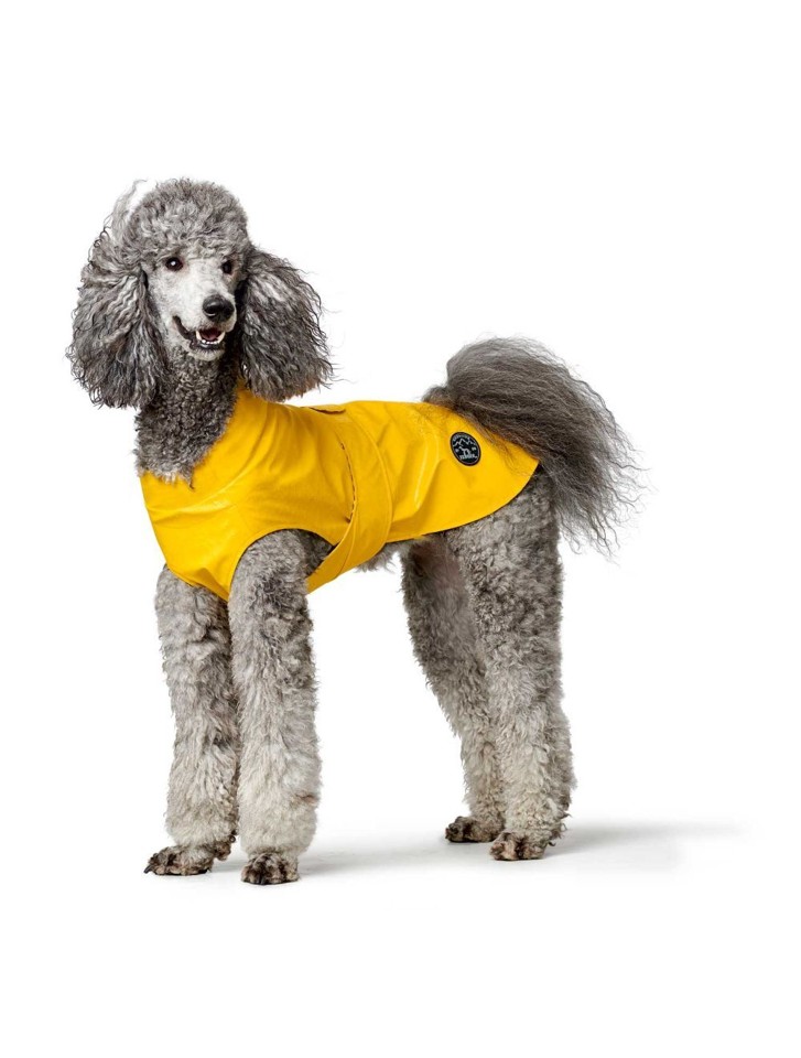 Hunter - Raincoat for dogs Milford 45cm yellow
