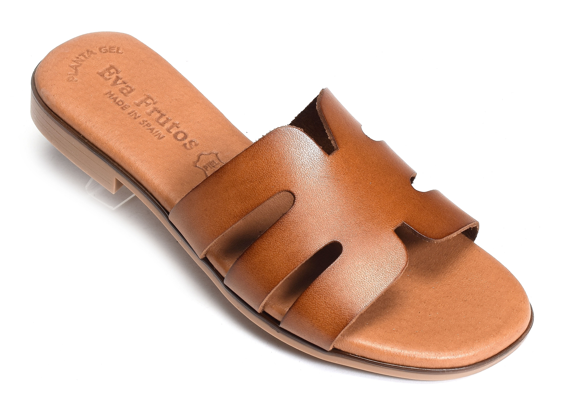 3076 camel