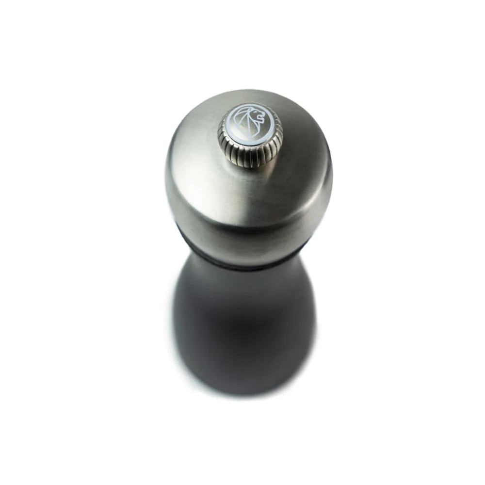 Moulin à Sel 15cm Fidji Graphite/Inox Peugeot Peugeot