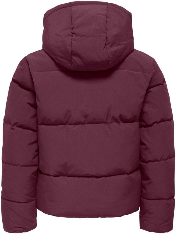 KIDS ONLY - KOGDOLLY SHORT PUFFER JACKET - Gewatteerde Jas - Mauve Wine - Met Capuchon