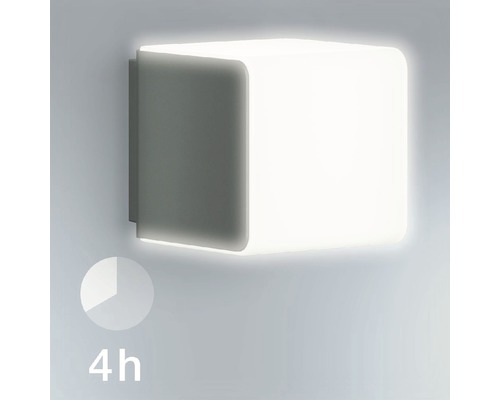 Steinel LED Sensor Buitenwandlamp 9,1 W 493 lm 3000 K Bluetooth L 830 SC antraciet/wit