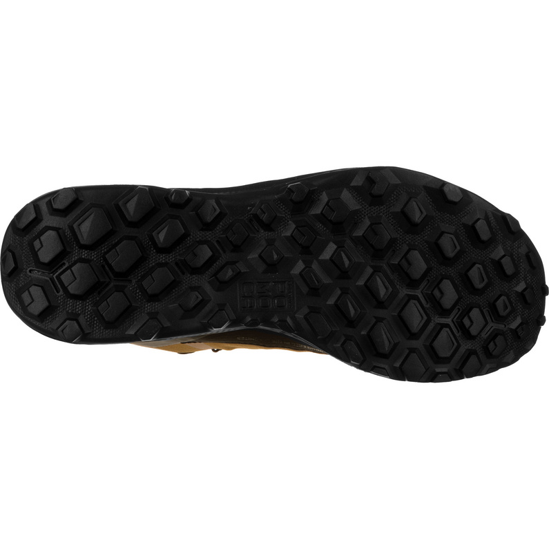 Salewa Damen Pedroc PTX Schuhe