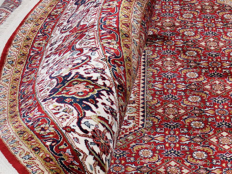OCI Orient Teppich CENTAURI BIDJAR