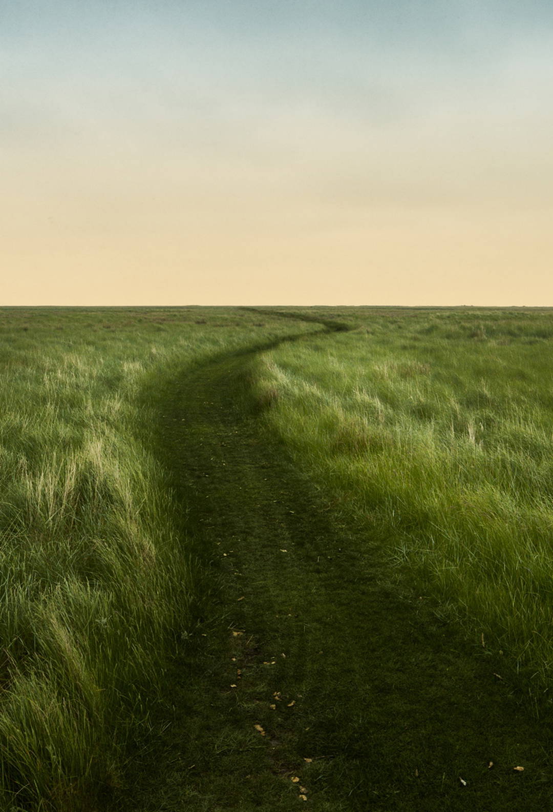 Floating World Trail by Christian Schmidt - Limited Edition. Edition of: 150. Signed.