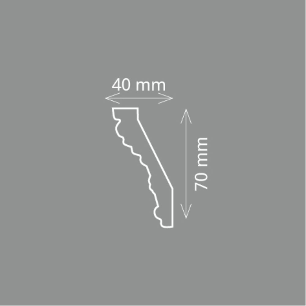 HOMESTAR sierlijst Tanja (40 x 70 mm), lengte 2m