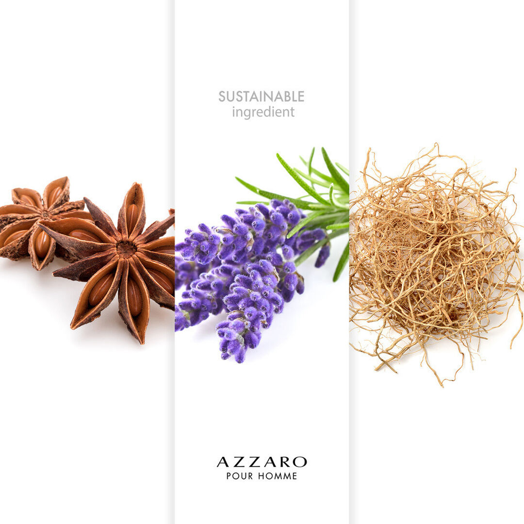 AZZARO AZZARO/H Eau de Toilette - 50ml