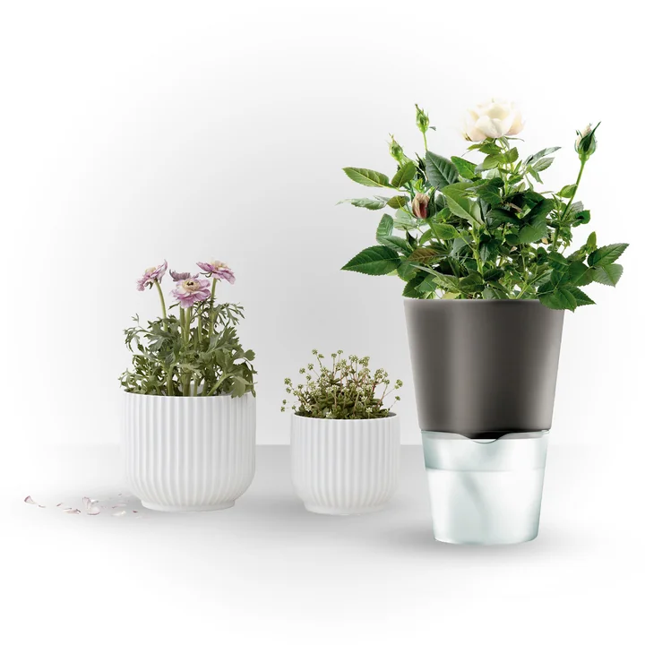 Lyngby Porcelæn - Blumentopf, weiss, L