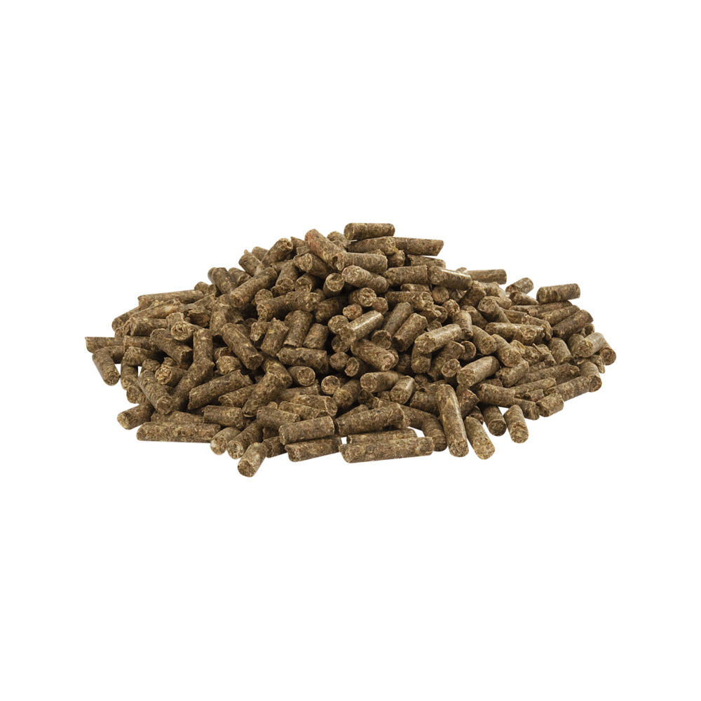 Versele-Lage Country's Best Cuni Fit Pure