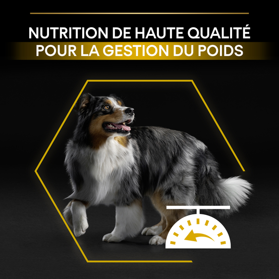 Croquettes chien adulte stérilisé Super Premium - 3 kg