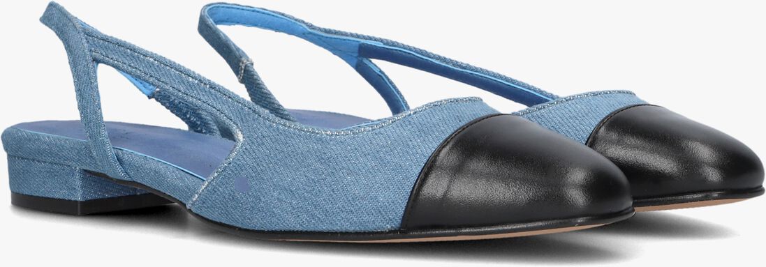 TORAL blauwe toral  luisa