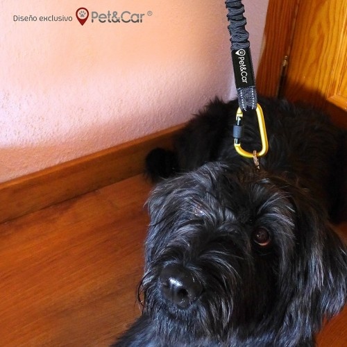 Guia extensível para cães, dourada/preta